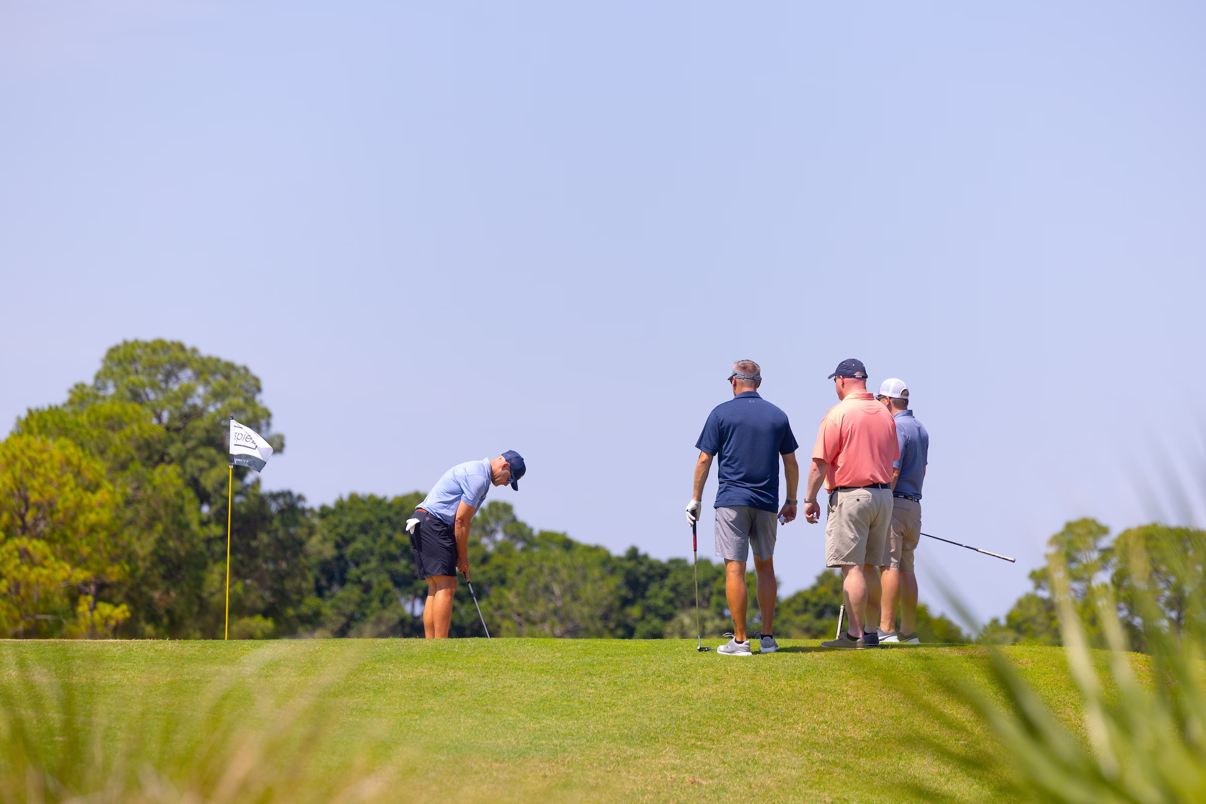 Four golfers on a sunny golf course green, with one player preparing to putt while three others watch. Lush trees frame the left side of the scene against a clear blue sky.